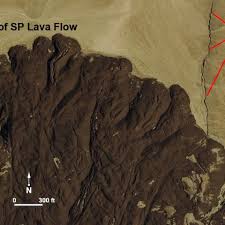 Attēlu rezultāti vaicājumam “Craterium sp.”