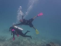 Image result for Duchy Divers