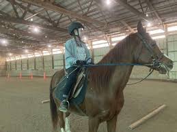 Image result for Shey Copse Riding Centre