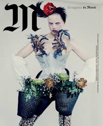 Image result for Guinevere van Seenus