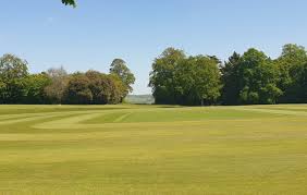 Image result for Antelope & Castle Cricket Club