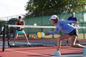 Image result for Gosport Pickleball Club