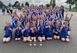 Image result for Beacon Netball Club