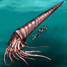 Attēlu rezultāti vaicājumam “Endoceras”