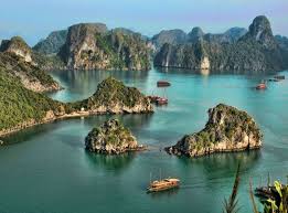 Image result for Bay Dragons CC