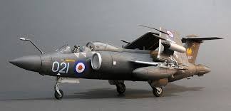 Image result for Blackburn Centurions Sc