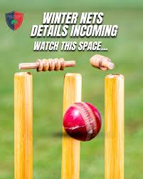 Image result for Horsley & Send Cricket Club