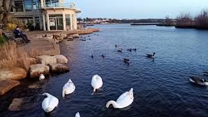 Image result for Bournemouth and Poole Rambling Club