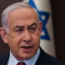 Attēlu rezultāti vaicājumam “Badhamia nitens”