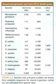 Image result for genome sizes