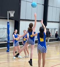 Image result for Netball United