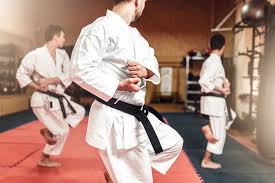 Image result for Springwood Karate