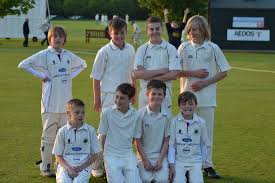 Image result for Woolpit Cricket Club