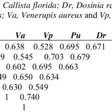 Attēlu rezultāti vaicājumam “Scardia boletella pupa”