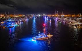 Image result for Harbour Lights Snorkelling Club (HLSC)