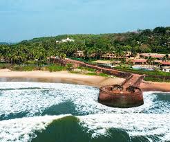 Image result for goa beaches