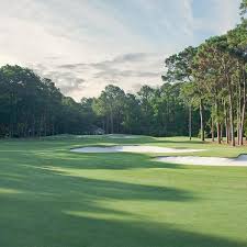 Image result for Dolphina Gc