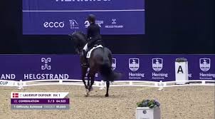 Image result for Interfreestyle Sport Karate