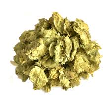 Attēlu rezultāti vaicājumam “Humulus lupulus bud”