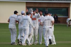 Image result for Bronwydd Cricket Club