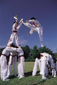 Image result for Crown Tae Kwon Do