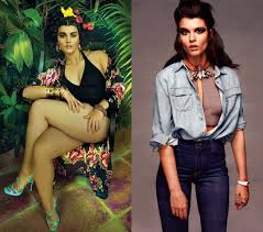 Image result for crystal renn