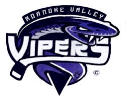 Image result for Spen Valley Vipers