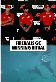 Image result for Dolphina Gc