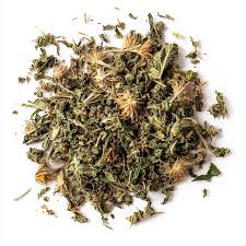 Attēlu rezultāti vaicājumam “Taraxacum officinale aggr. leaf”