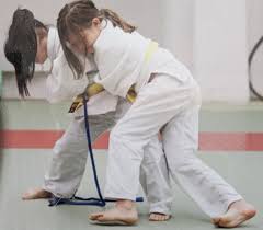 Image result for Grange Judo Club