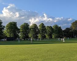 Image result for Caterham Cricket Club