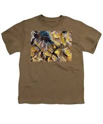 Attēlu rezultāti vaicājumam “Physarum bivalve young”