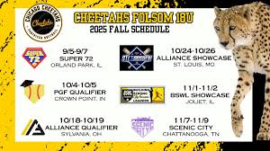 Image result for Cheetahs Softball Team