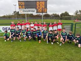 Image result for Tir Chonaill Gaels G A A Club