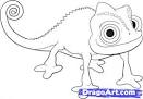 Chameleon coloring page