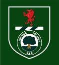 Image result for Swansea Uplands Rugby Football Club