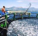 Fisheries &amp; Aquaculture: Key Facts