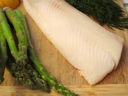 Image result for Scophthalmus maximus