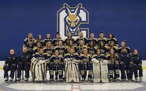 Image result for Stockton Ladies Hockey Club