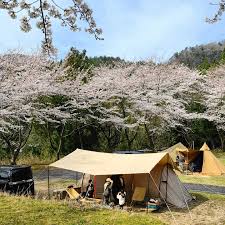 「   厡 @ T C  」の画像検索結果