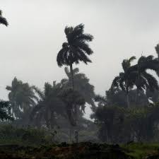 Image result for Tormenta Agatha