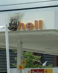 Image result for shell hell