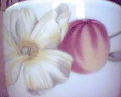 Image result for Worcester and Pershore Shukokai