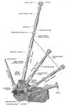 Tom Childs, Bagpiper » Some Piping History