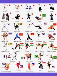 Image result for Northern Freestyle Karate Association