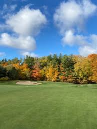 Image result for Ballantrae Bowling Club