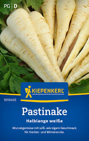 Image result for Pastinake