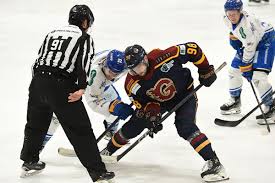 Image result for Guildford Ice Dance Club