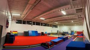 Image result for Farnham Gymnastics Club