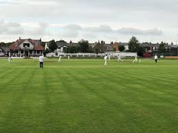Image result for Vernon Carus Cricket Club
